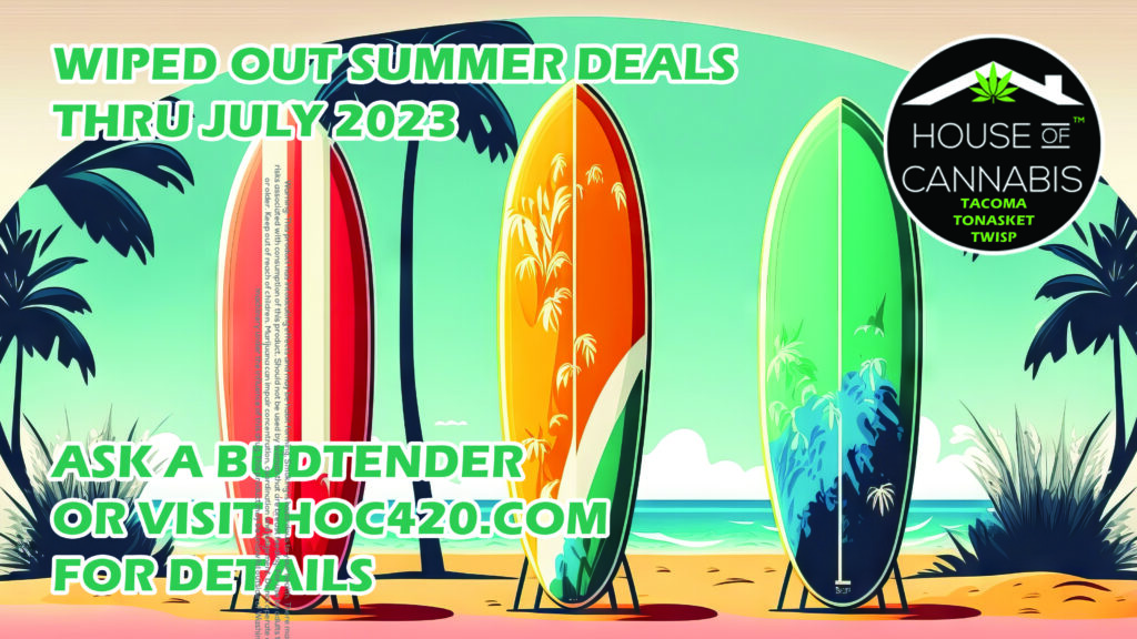 Graphic for Wiped Out Summer Deals July 2023